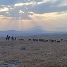 Last night of our TCT hike in Armenia by fiddlehead in Other Trails