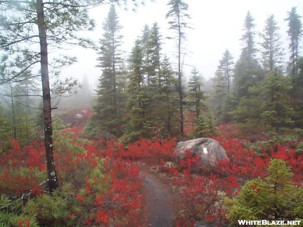 Rainbow Ledges, Maine