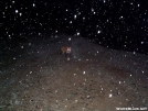 Fox in a snowstorm by fiddlehead in Wildlife (contest)