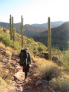 Az Hiking by fiddlehead in Other Trails