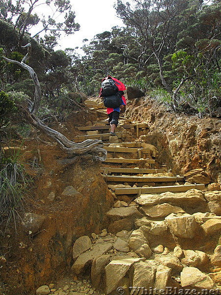 Climbing Mt Kinabalu