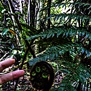 Hiking in NZ