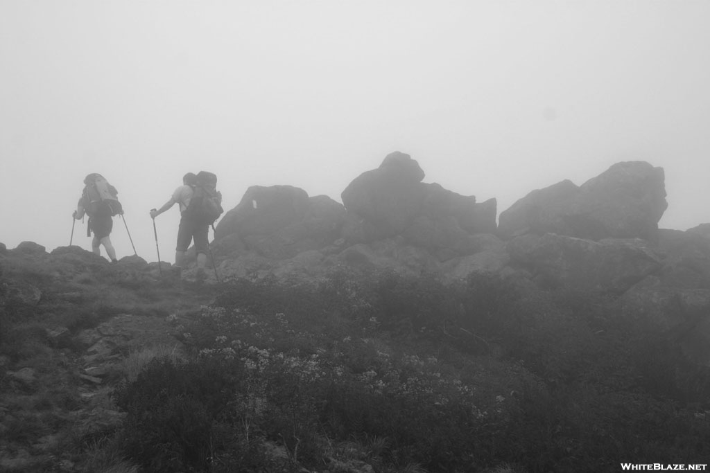 Buzzard Rock in a fog