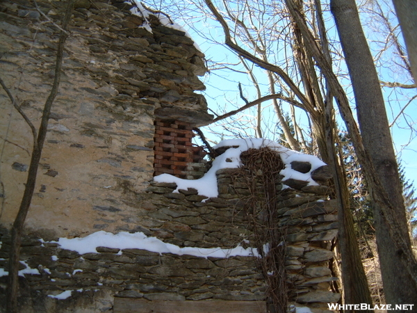 Michaux Forest Ruins