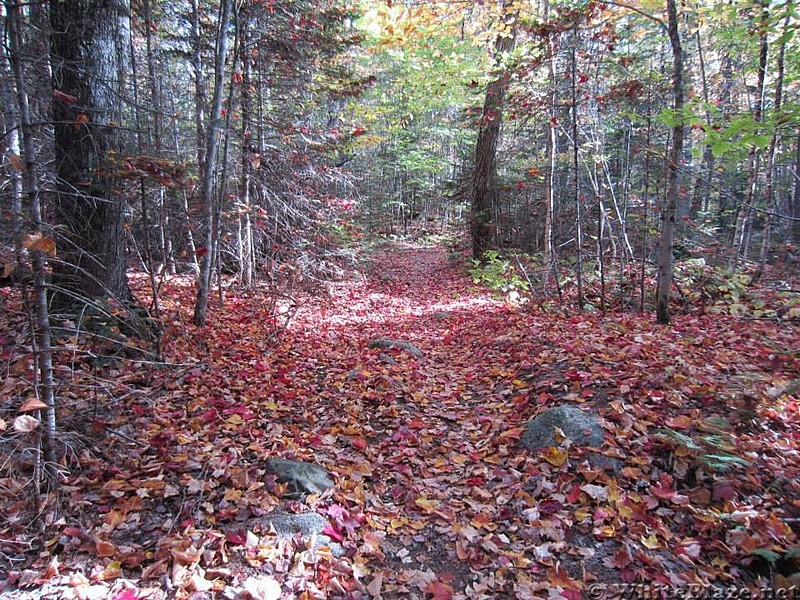 Hiking in Maine