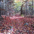 Hiking in Maine