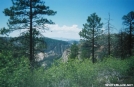 West Rim Springs View Zion National Park