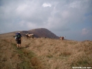 Silver Dome approaching Longhorns on Hump Mt by cabeza de vaca in Views in North Carolina & Tennessee