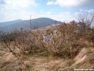 Silver Dome naps on Jane Bald by cabeza de vaca in Section Hikers