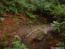 Water Source at Bald Mountain Shelter 28JUL2005 by cabeza de vaca in North Carolina & Tennessee Shelters