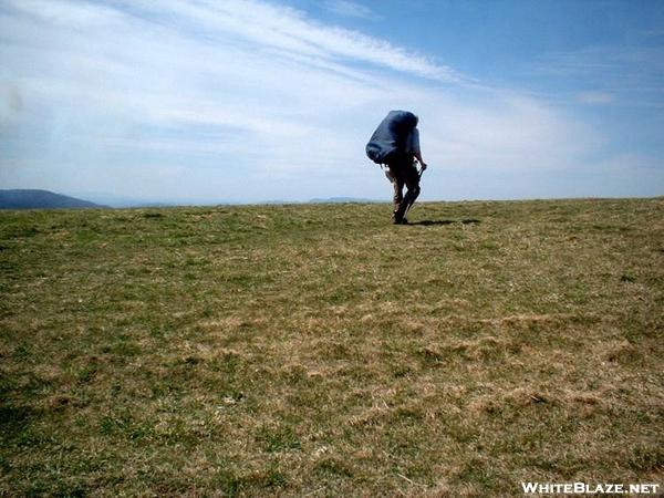 Traversing Max Patch