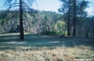 Horse Pasture Plateau Campsite 7 Zion National Park