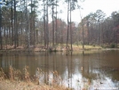 Fish Pond at Petersburg Campground as seen from Bartram Trail