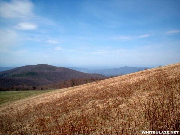 Max Patch View 2005