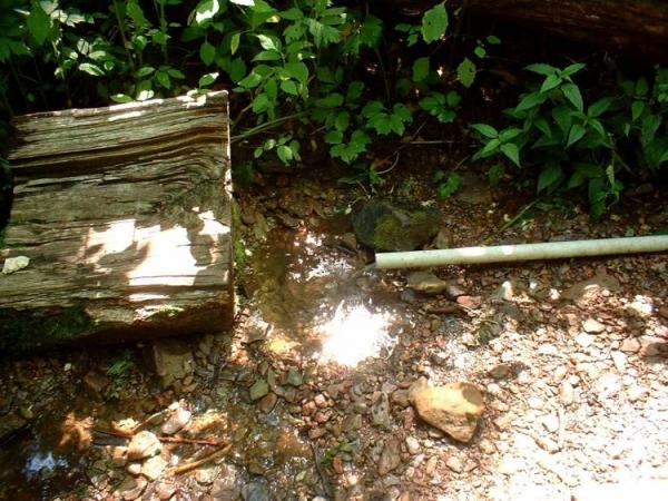 Spring Mountain Shelter water source 27JUN2005