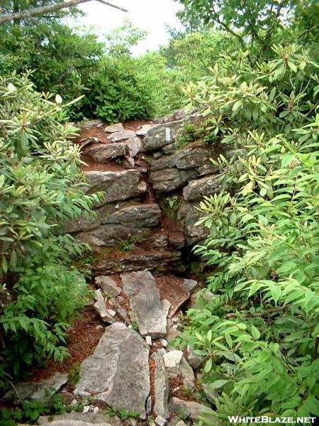 A climb near Blackstack Cliffs 26JUN2005