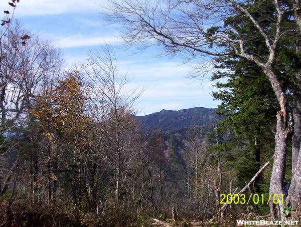 View from the AT to Mt Le Conte