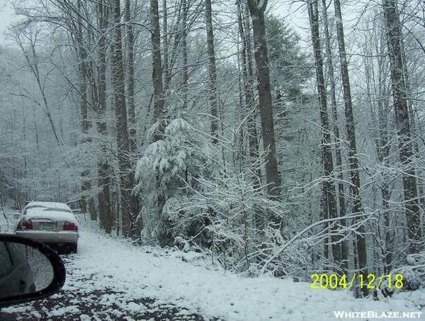 Smokies in Winter