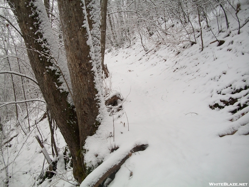 Snow In The Smokies - January 6th.