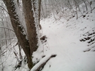 Snow In The Smokies - January 6th. by SGT Rock in Other Trails