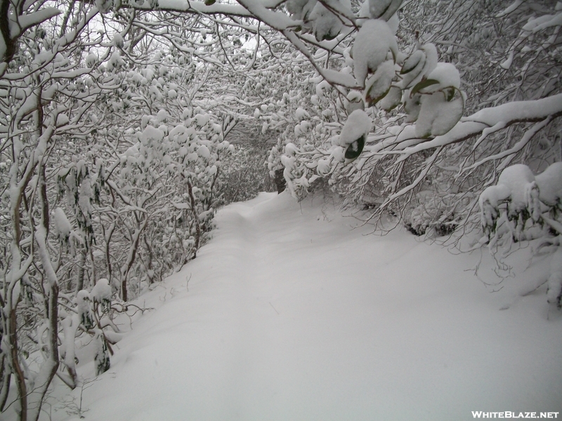 Snow In The Smokies - January 7th.