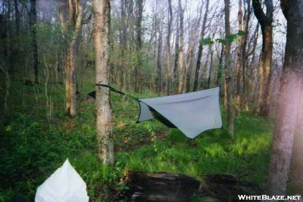 Hennessy Hammock and MatCat Tarp