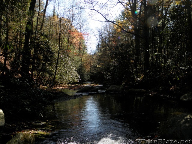 Lower Basin Creek near Doughton Park