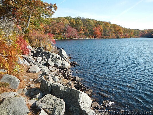 sunfishpond