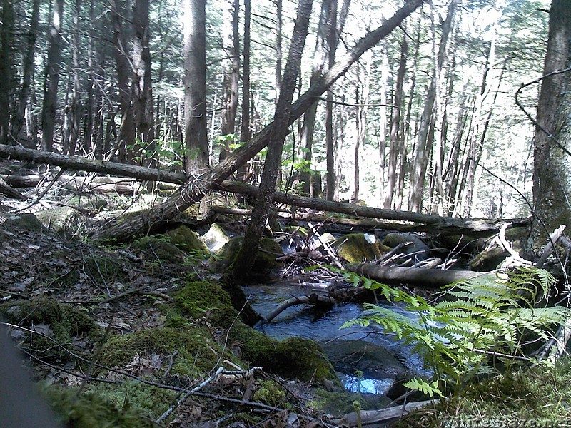 a day hike in the whites