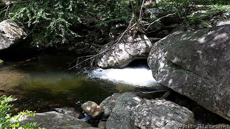 Hiking the AT in SNP Northern District