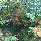 Green Tunnel by Sean The Bug in Trail & Blazes in North Carolina & Tennessee