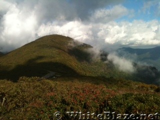 Great Smokey Mountains National Park