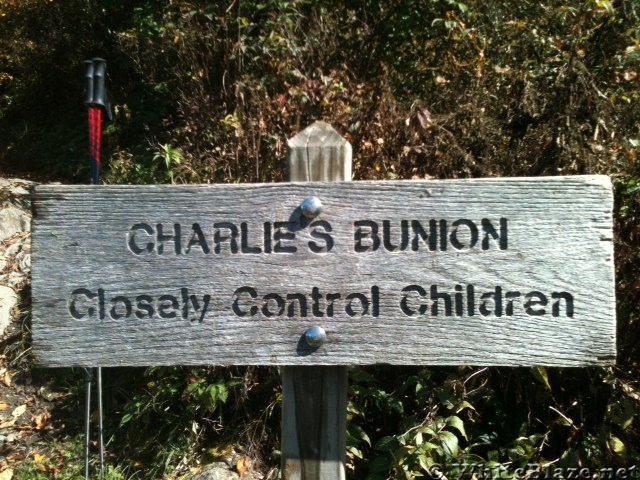 Charlies Bunion sign