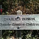 Charlies Bunion sign