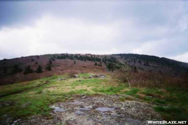 Trail up to Grass Ridge