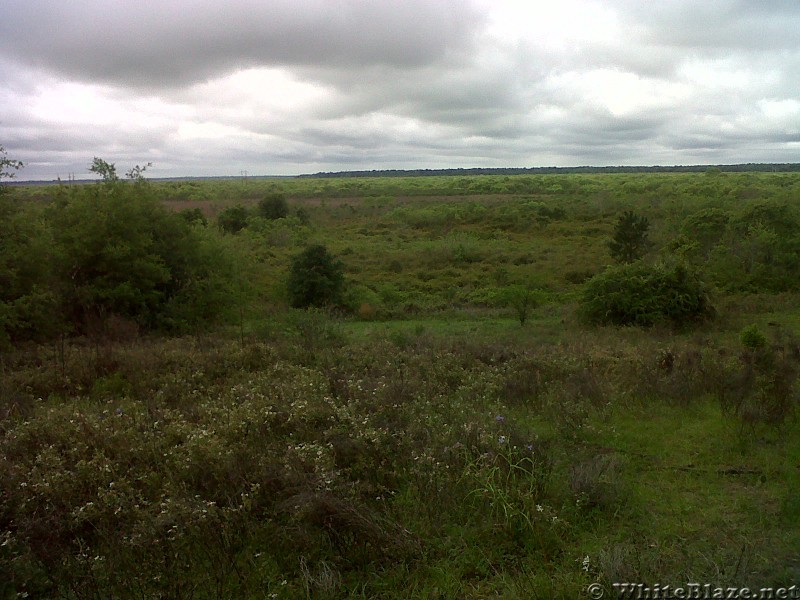 Hawthorne-Gainesville Trail 04192014