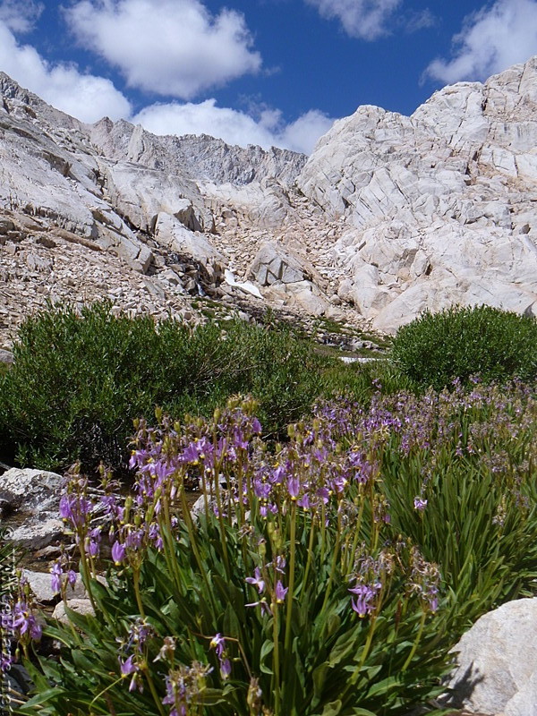 Mt. Whitney