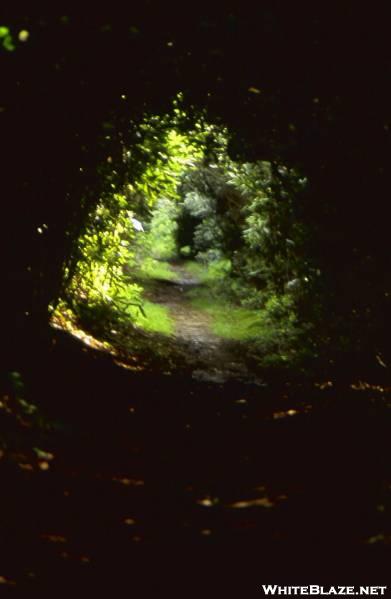 green tunnel