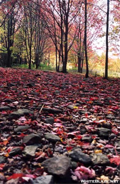 red path