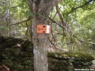 Dartmouth Outing Club Trail Marker by Rough in Trail & Blazes in Vermont