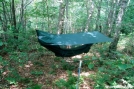 Clark Tropical on Long Trail, Vermont by Rough in Hammock camping