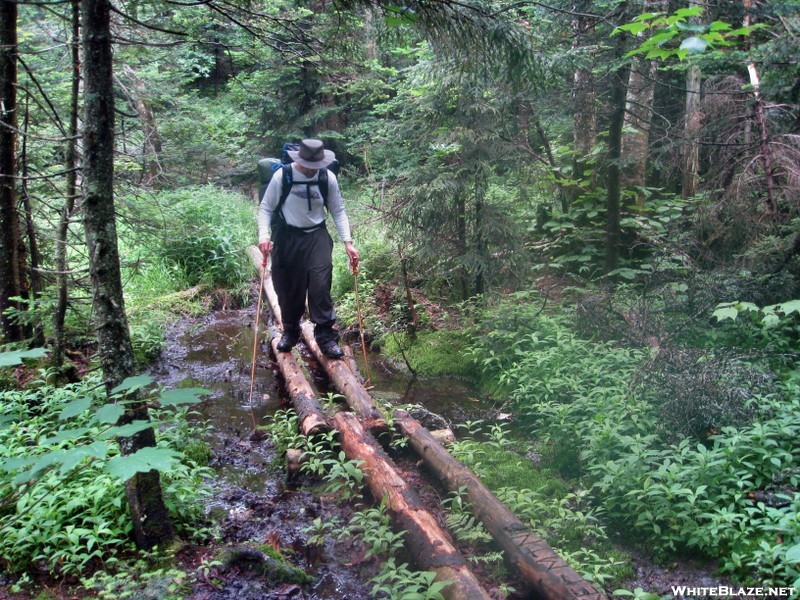 Crossing Puncheons Over Mud Pit Lt Vermont