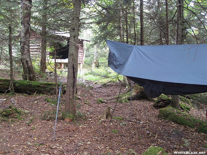 Hammock Camp At Boyce Shelter, Long Trail