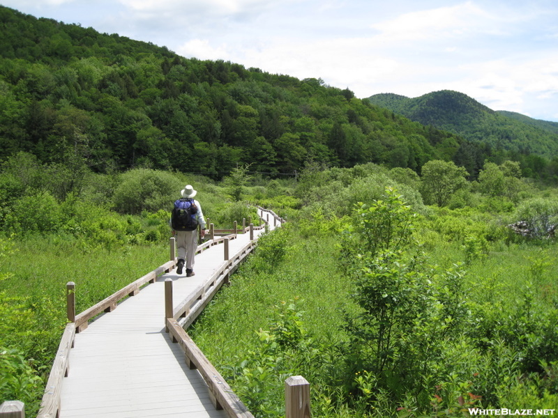 Handicapped-accessible Boardwalk Near Thundering Falls