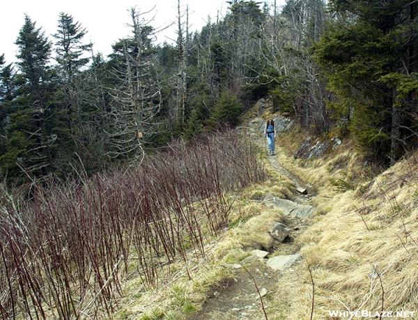 Carol heading toward Clingman\'s Dome