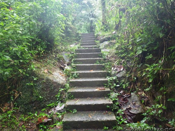 El Yunque Rain Forest in Puerto Rico