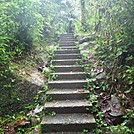 El Yunque Rain Forest in Puerto Rico by Ricky&Jack in Day Hikers