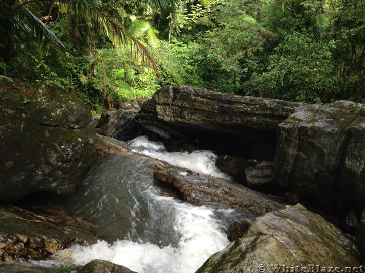 El Yunque Rain Forest in Puerto Rico