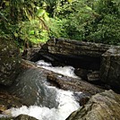 El Yunque Rain Forest in Puerto Rico