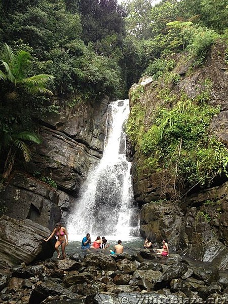 El Yunque Rain Forest in Puerto Rico